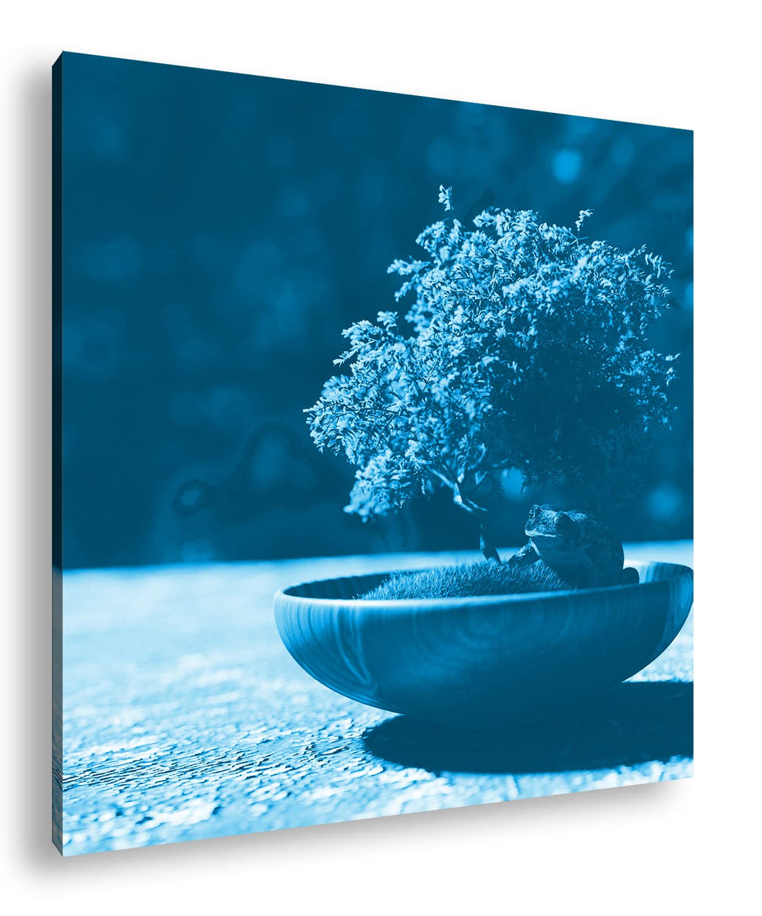 deyoli Kleiner niedlicher Bonsai Format: 70x70 Effekt: Monocrome Blau als Leinwandbild, Motiv fertig