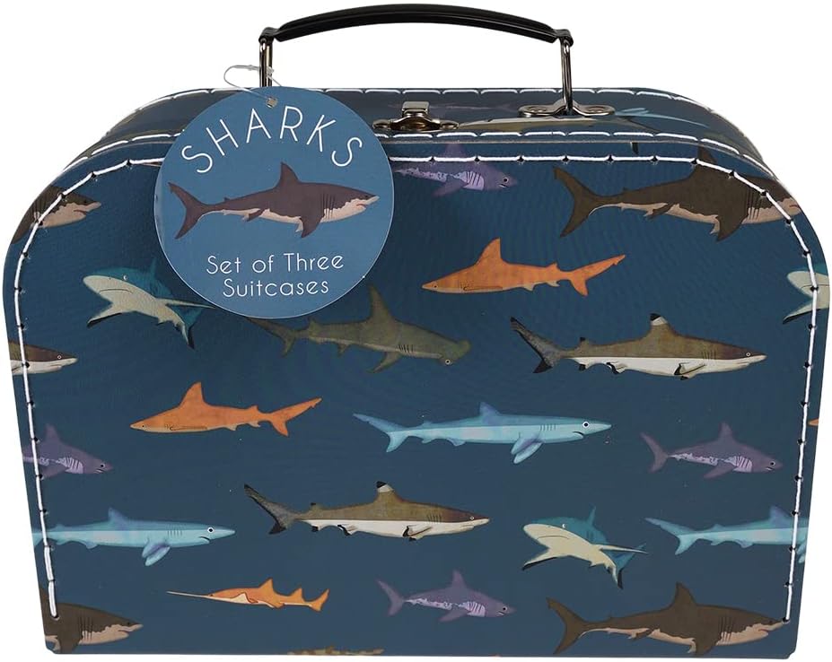 Rex London Sharks Cases (3 Stück)
