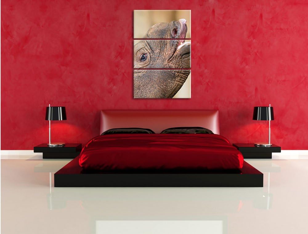Nashorn 3-Teiler Leinwandbild 120x80 Bild auf Leinwand, XXL riesige Bilder fertig gerahmt mit Keilra