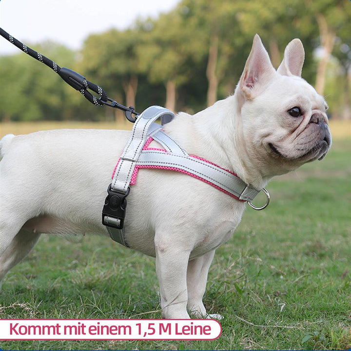 Hundegeschirr mit Leine für Mittelgrosse Kleine Hunde Welpen, Bunt Farbblock Geschirr, Mesh Gepolste