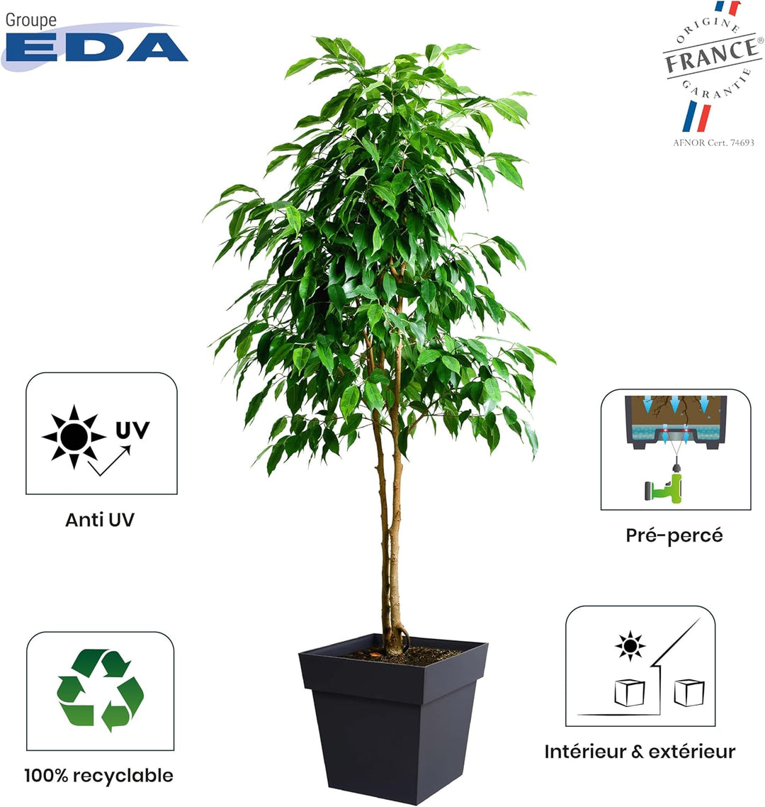 EDA - Blumentopf Toskana, quadratisch, 39 cm, Volumen 38 l, 39 x 39 x 39 cm, Lorbeergrün 39 x 39 x 3