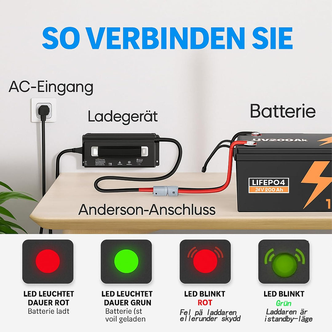 29,2V 20A LiFePO4 Ladegerät für 24V Lithium Deep Cycle Akkus | mit Mehreren Schutzfunktionen von Woh