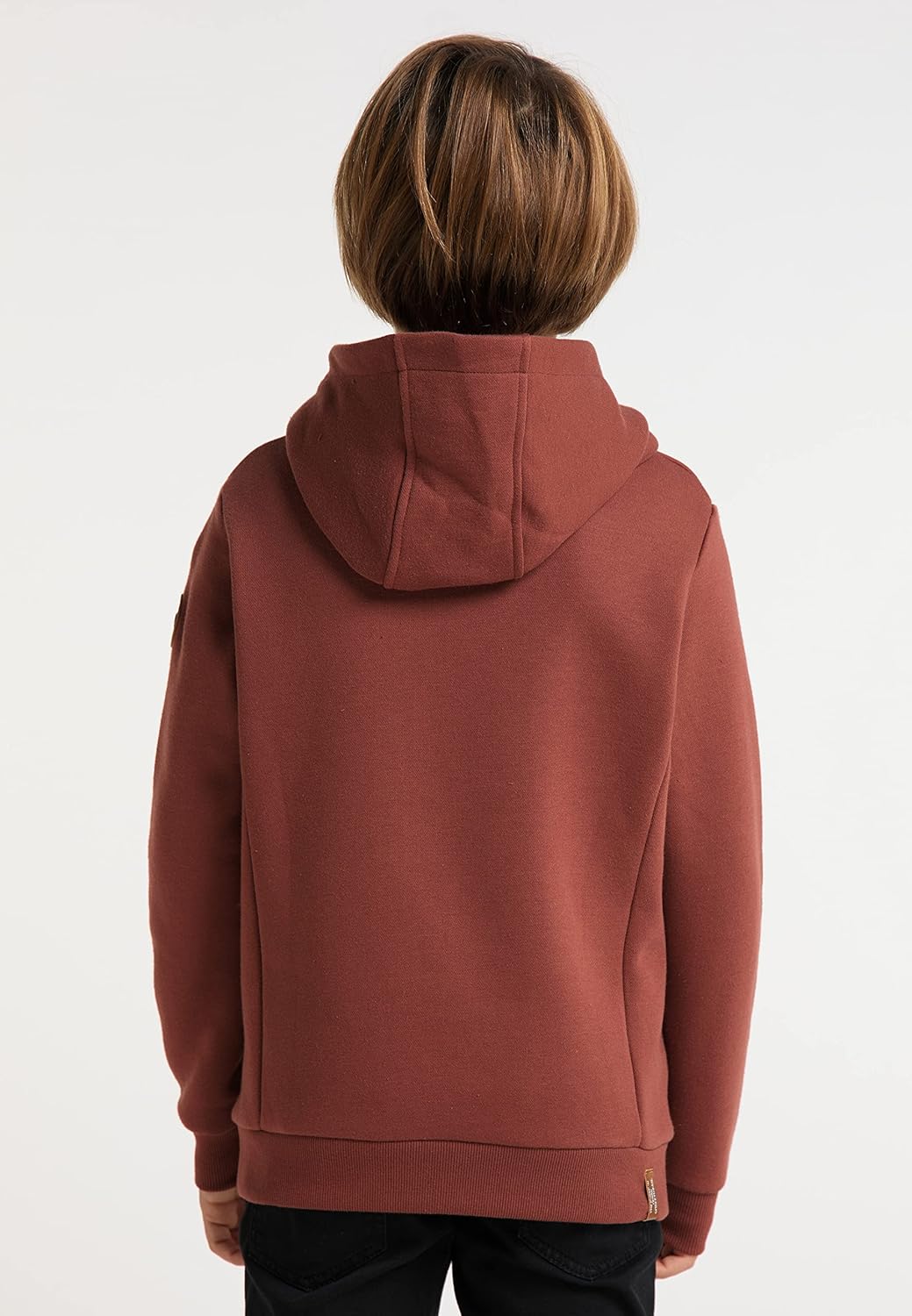 Ragwear Esam Jungen Sweatshirt Hoodie Kapuzenpullover Sweater Pullover Shirt Kinder Sweat, 128 Terra
