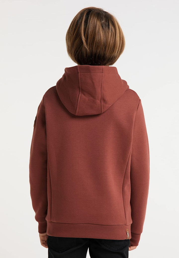 Ragwear Esam Jungen Sweatshirt Hoodie Kapuzenpullover Sweater Pullover Shirt Kinder Sweat, 128 Terra