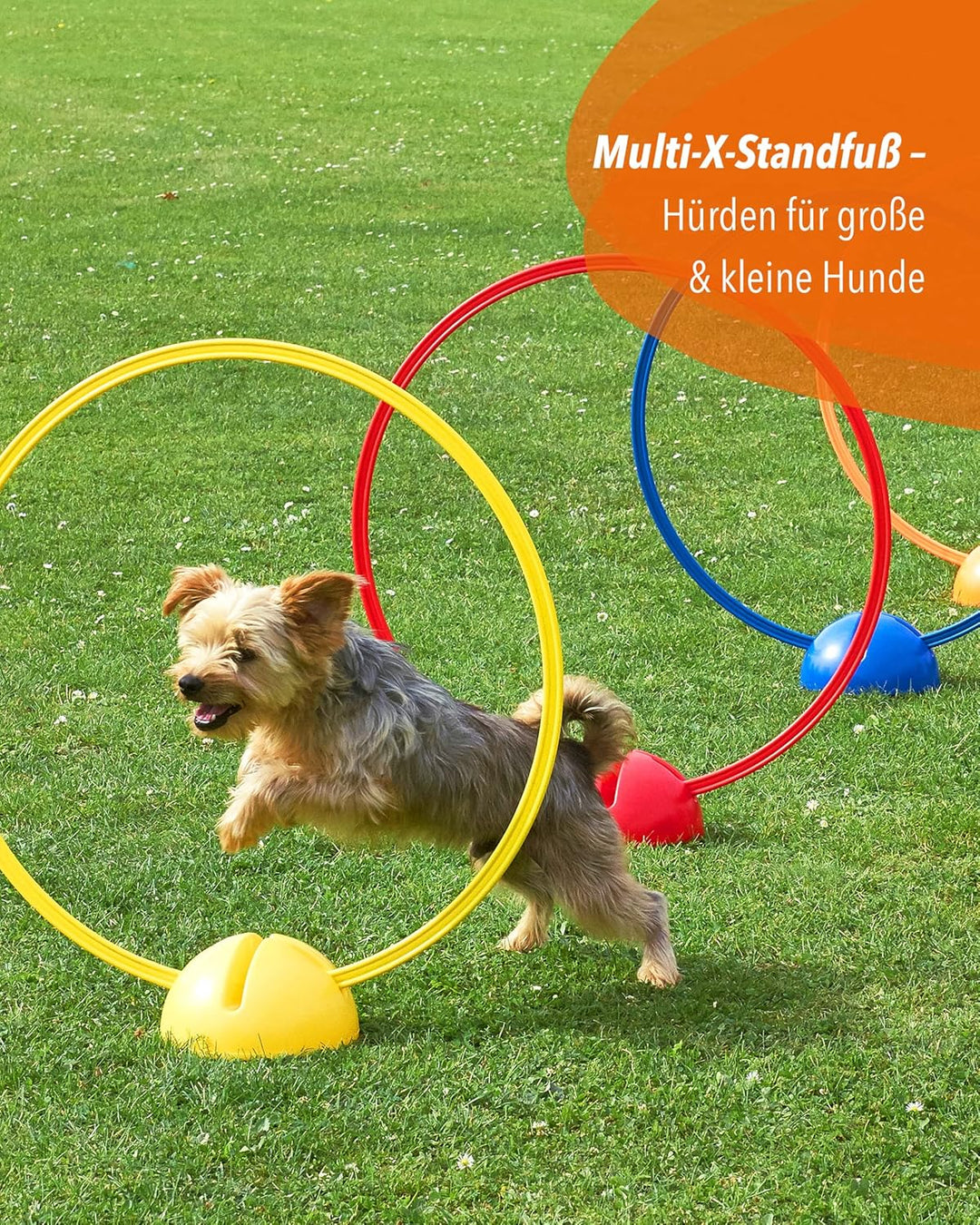 4 x X-Fuss (Bunt), Bunt