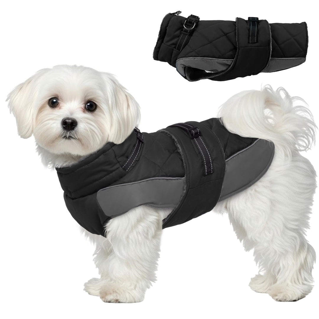 Wintermantel Hund M, Wintermantel Hunde mit Hohem Kragen, Warmer Hundejacke mit D-Ring für Cocker Sp