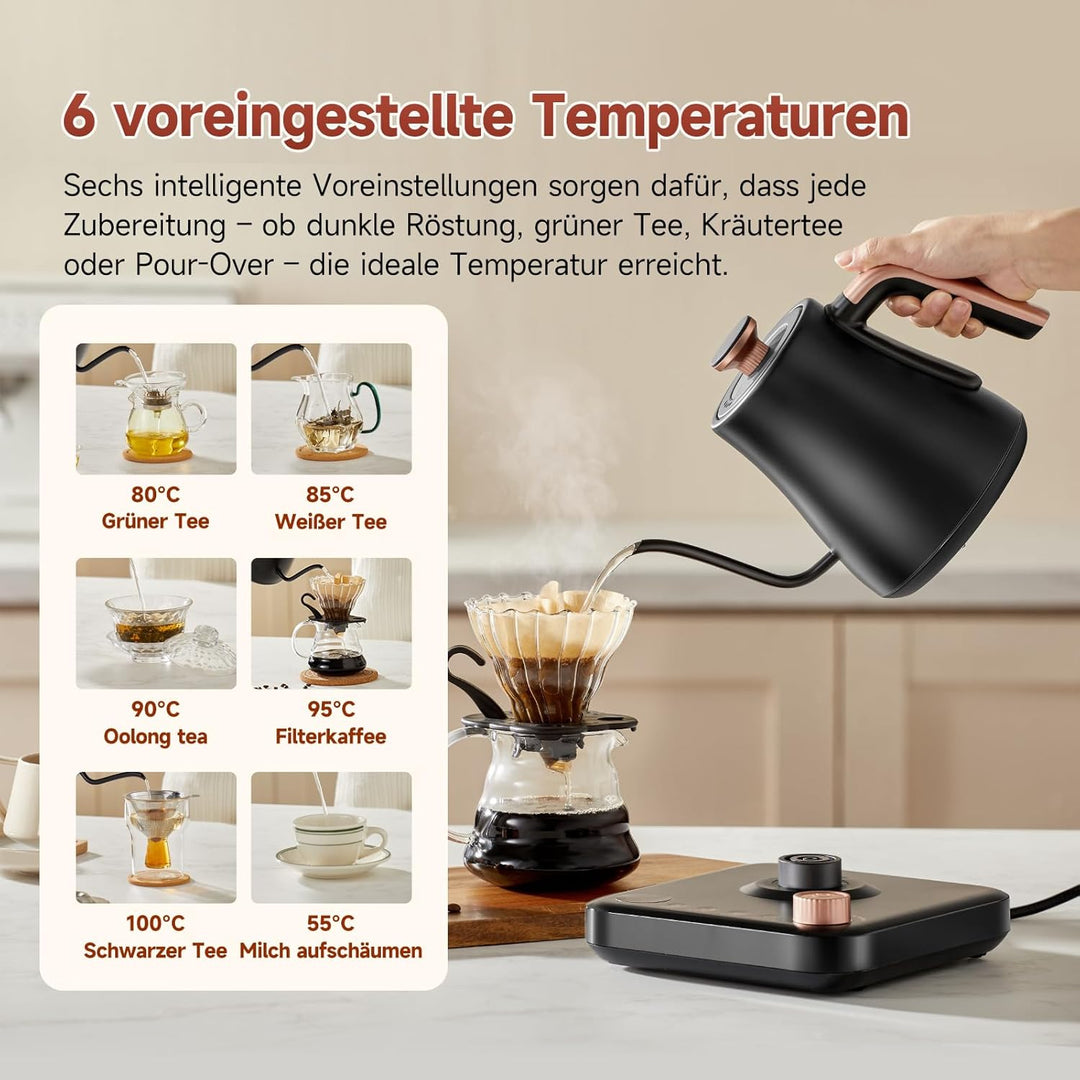 OLEGA wasserkocher schwanenhals: 1200W wasserkocher mit temperatureinstellung, 0.8L Edelstahl schwan
