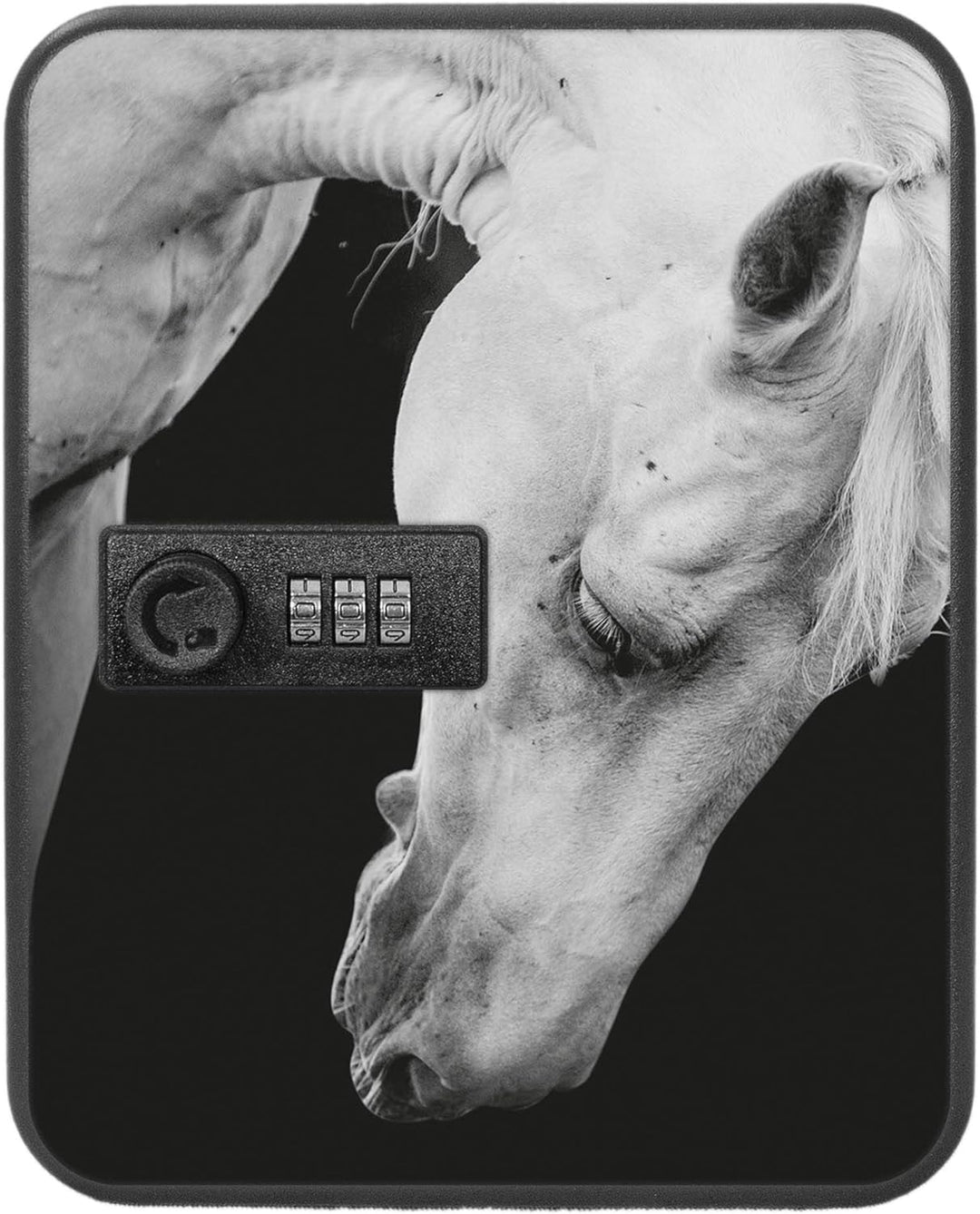 banjado® Burg-Wächter® abschliessbarer Schlüsselkasten mit Motiv Frederik für 20 Schlüssel - Schlüss