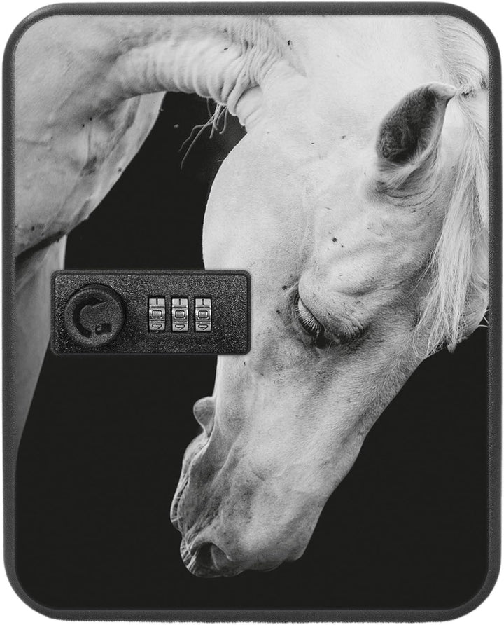 banjado® Burg-Wächter® abschliessbarer Schlüsselkasten mit Motiv Frederik für 20 Schlüssel - Schlüss