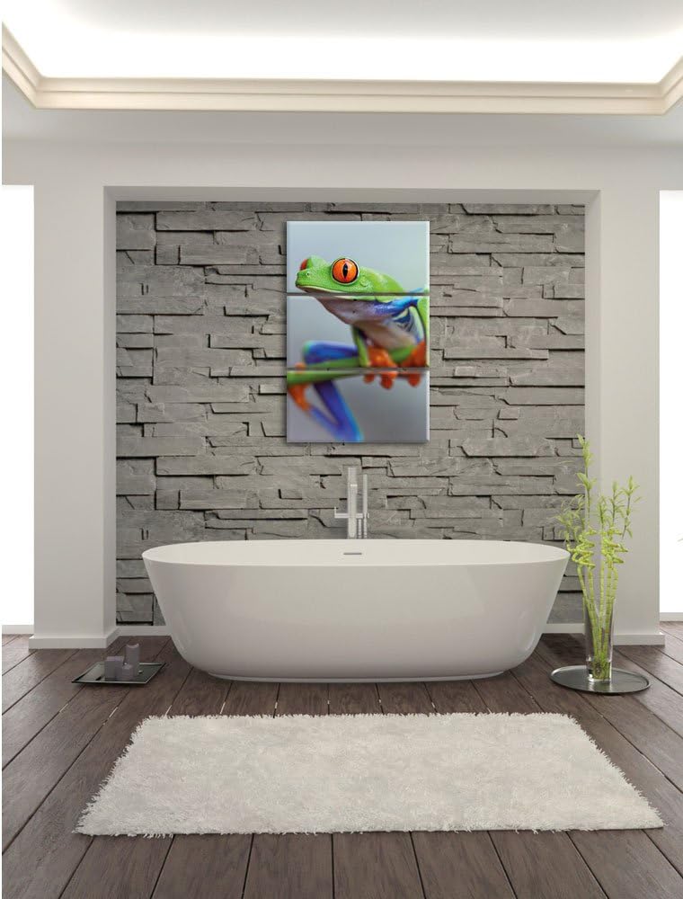 Pixxprint Grüner Frosch auf AST 3-Teiler Leinwandbild 120x80 Bild auf Leinwand
