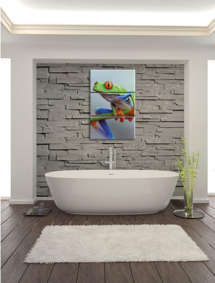 Pixxprint Grüner Frosch auf AST 3-Teiler Leinwandbild 120x80 Bild auf Leinwand