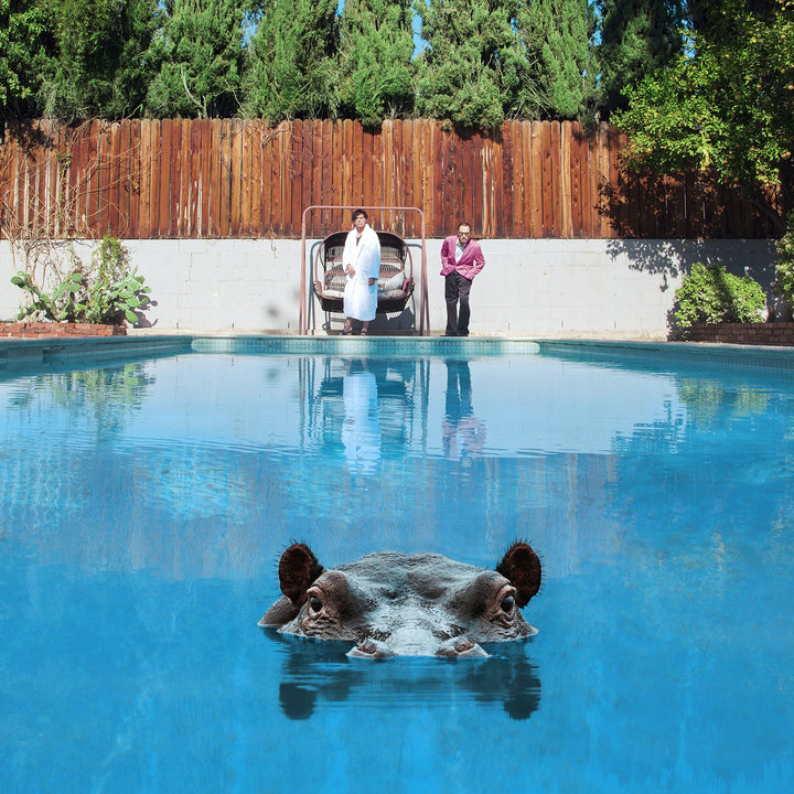 Hippopotamus, Vinyl