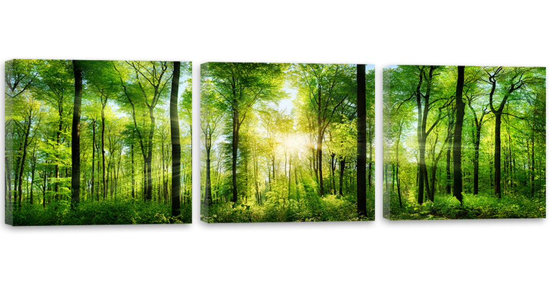 Feeby Bilder 3 Teile Wald Bäume 150x50 cm Wohnzimmer Schlafzimmer Büro Flur Küche Wandbilder Modern