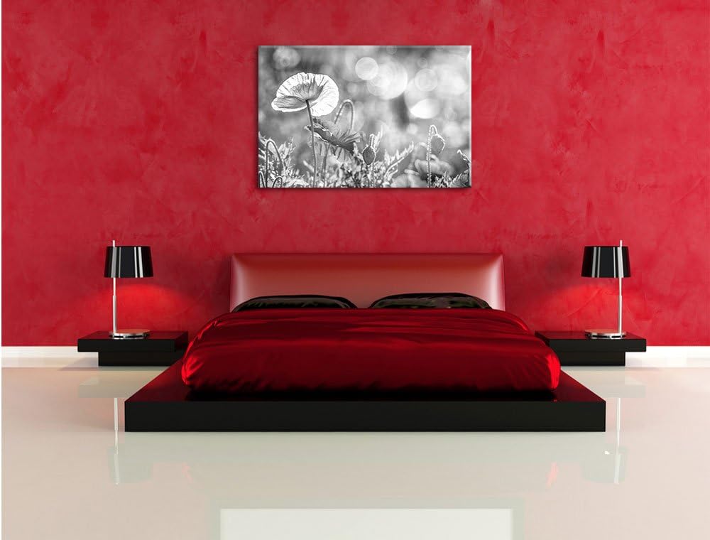 Pixxprint Kalifornischer Mohn im Frühling als Leinwandbild/Grösse: 100x70 cm/Wandbild/Kunstdruck/fer