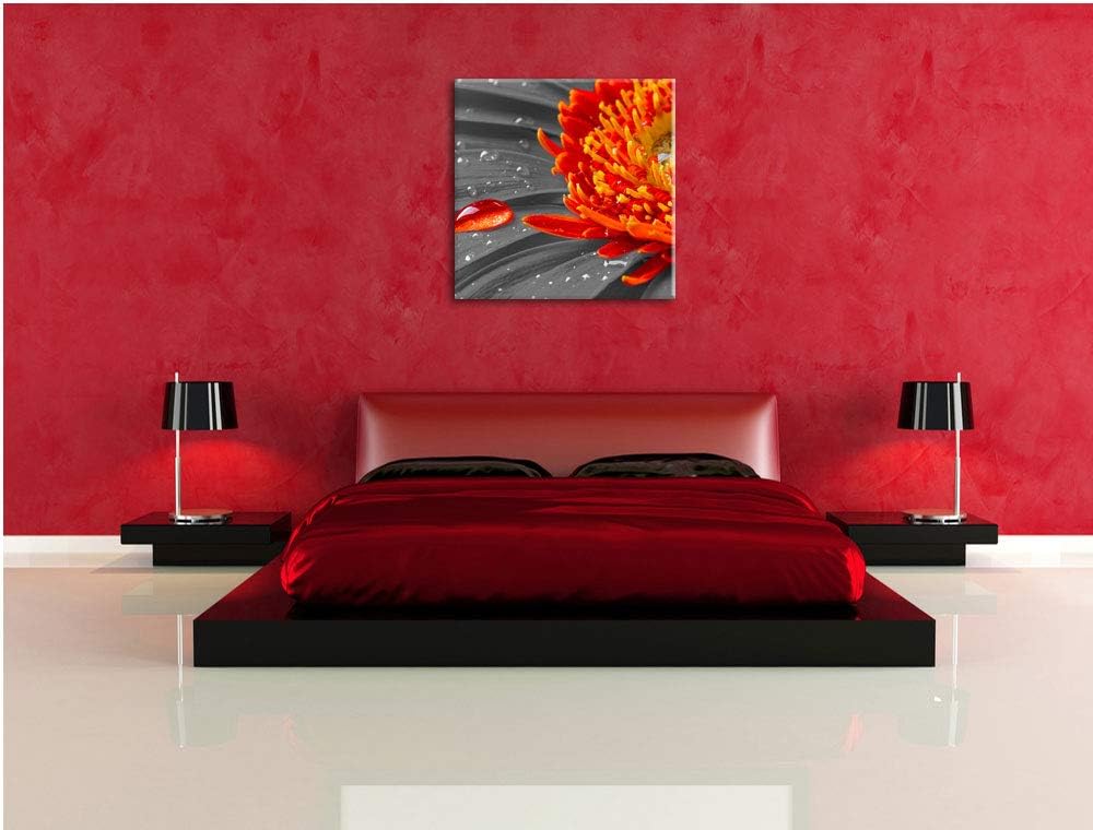 Pixxprint Wassertropfen auf Gerbera als Leinwandbild Quadratisch/Grösse: 70x70 / Wandbild/Kunstdruck