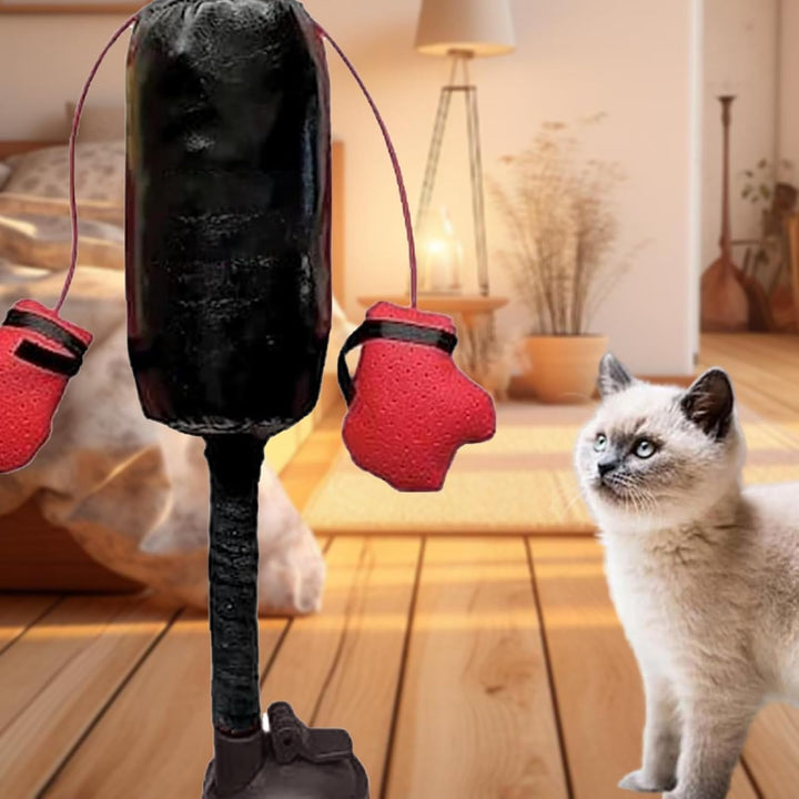 Boxsack mit Handschuhen Katzenspielzeug, EIN Katzen-Boxspielzeug - Boxsack für Katzen für Kätzchen |