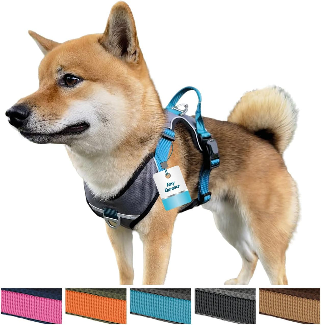 Petlando Hundegeschirr Magnetech– Innovative Magnetschnalle, mit Griff, Zwei D-Ringe, reflektierend,
