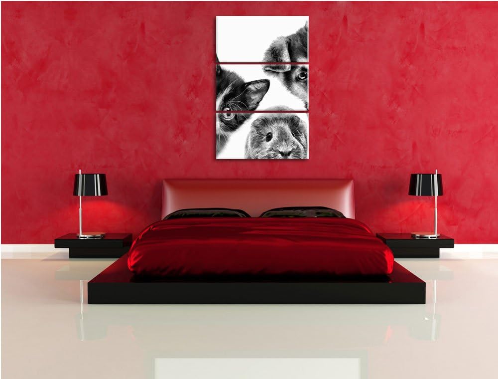 Pixxprint Trio Hund Katze Meerschwein als Leinwandbild/Grösse: 3 Teilig (120x80 cm) cm/Wandbild/Kuns