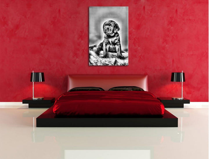 Pixxprint Hundewelpe auf Pullovern / 100x70cm Leinwandbild bespannt auf Holzrahmen/Wandbild Kunstdru