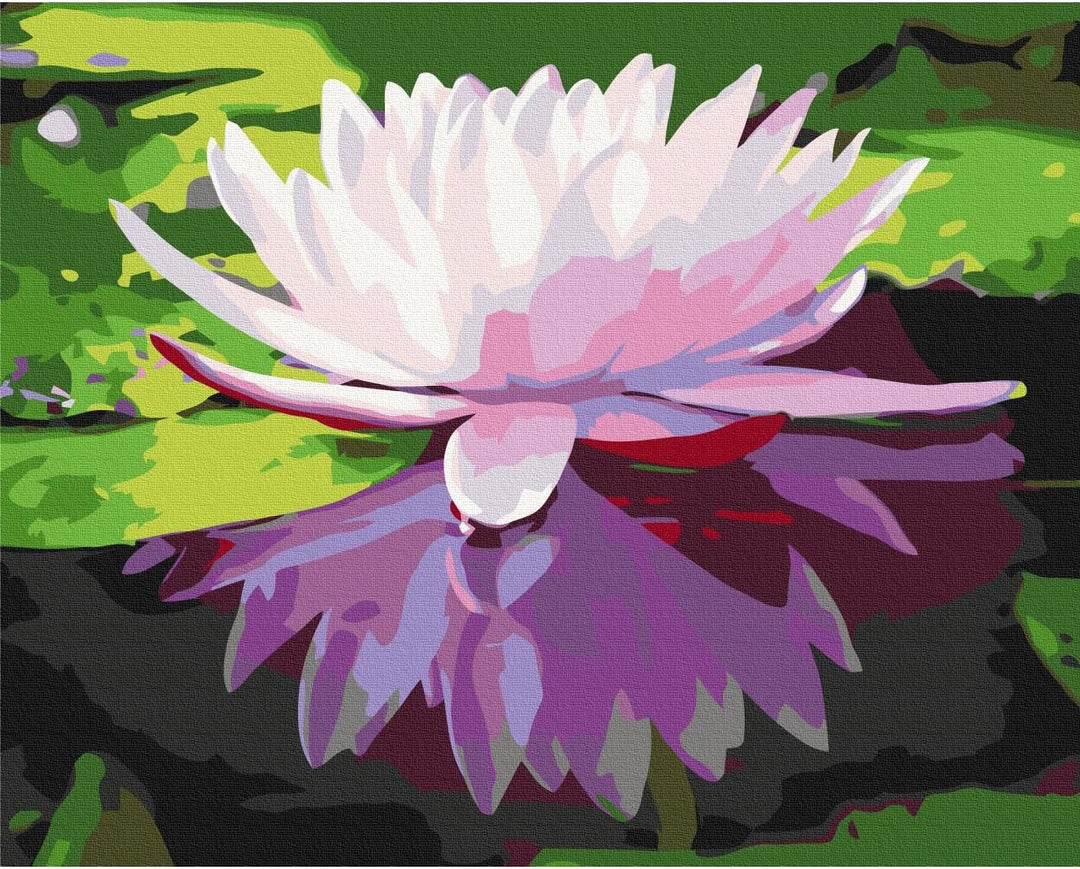 murando - Malen nach Zahlen Blumen Wasserlilie 60x40 cm Malset mit Holzrahmen auf Leinwand für Erwac