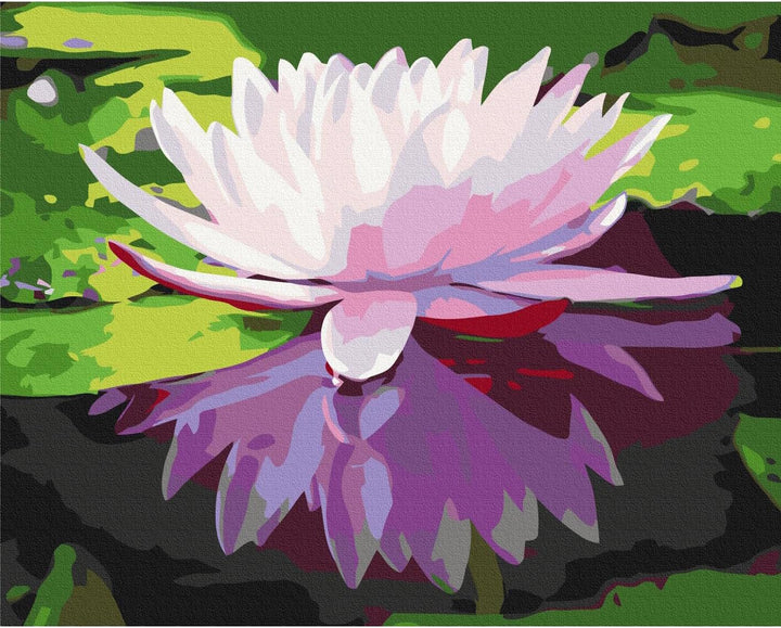 murando - Malen nach Zahlen Blumen Wasserlilie 60x40 cm Malset mit Holzrahmen auf Leinwand für Erwac