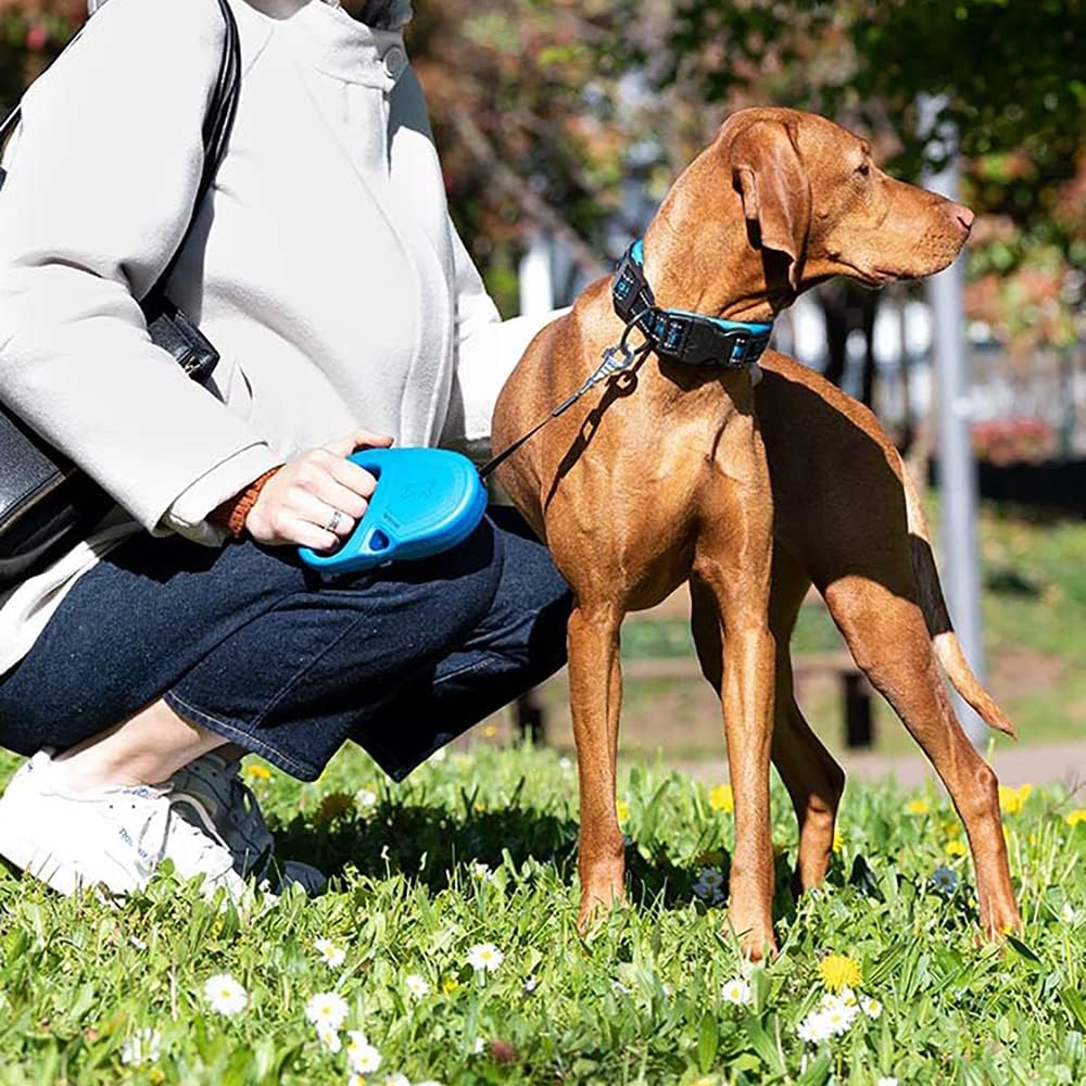 Ferplast Hundeleine Flippy ONE, Rollleine mittelgrosse Hunde bis 25 kg. Ausziehbares Gurtband max. 5