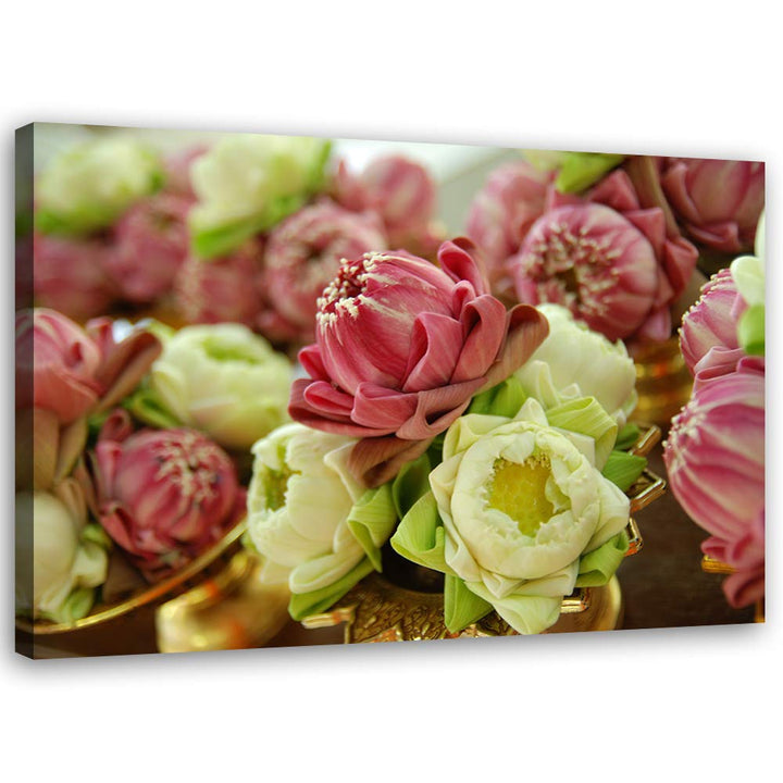 Feeby Wandbild Blumen Druckbild Leinwandbild Pflanze mehrfarbig 100x70 cm Leinwandbild 100x70 cm meh