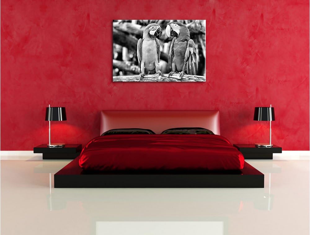 Zwei Papageien auf einem AST / 100x70cm Leinwandbild bespannt auf Holzrahmen/Wandbild Kunstdruck Dek