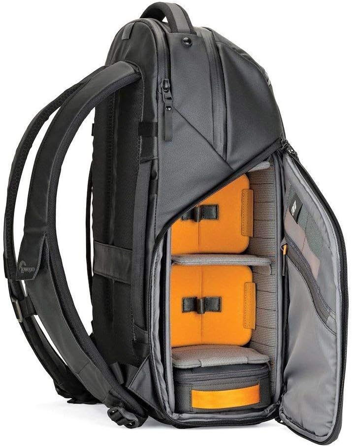Lowepro FreeLine 350 AW Vielseitiger Tagesrucksack (designed für Reisen, Fotografen und Videografen,