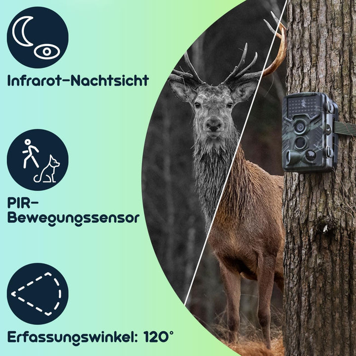 Full-HD-Wildkamera 24 MP mit 3 Bewegungssensoren – Nachtsicht, Serienbild- & Zeitraffer-Funktion, Fa