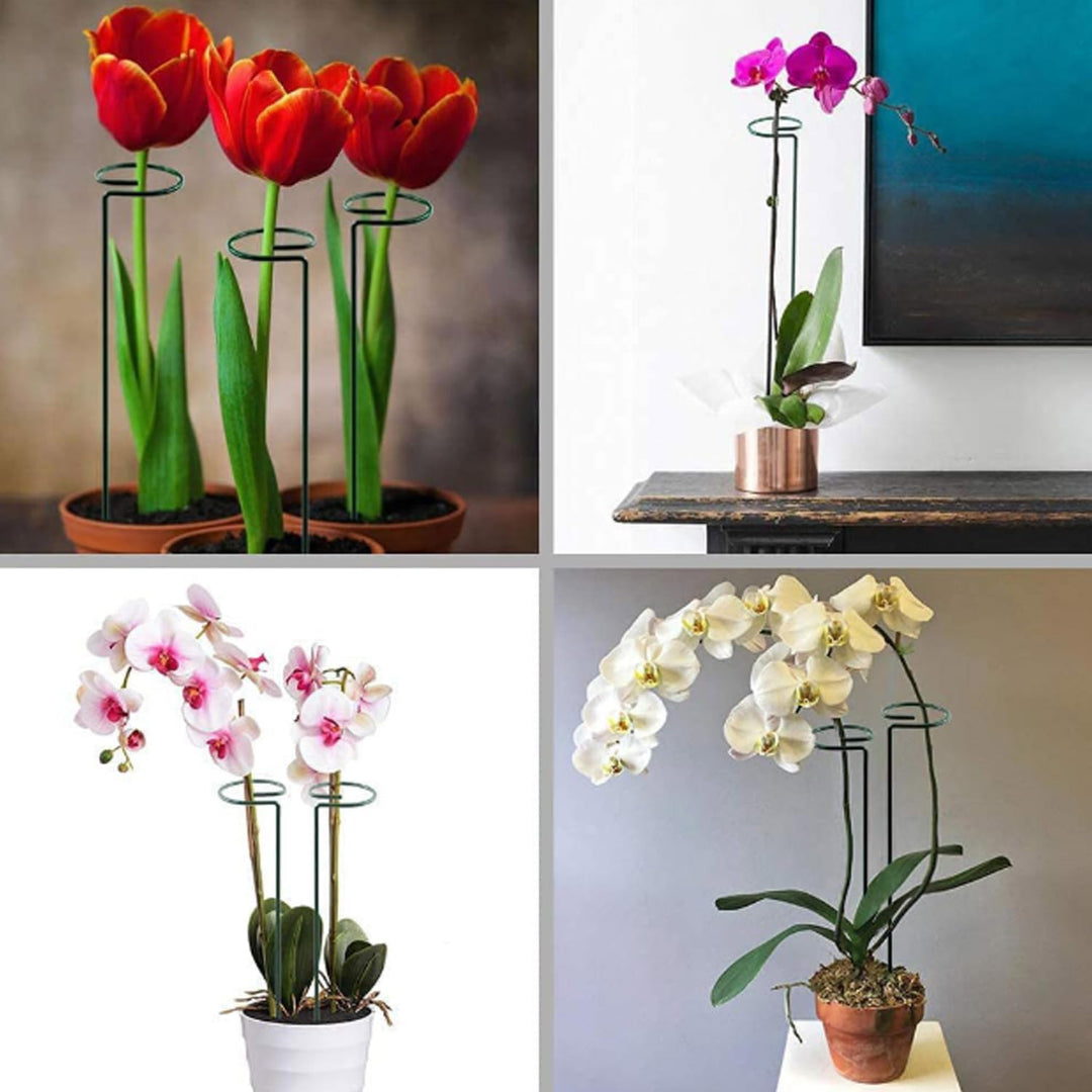 10 Stücke Staudenhalter, Strauchstütze, Blumenstütze, Metall Garten Stützring, Pflanzenhalter Ringkä