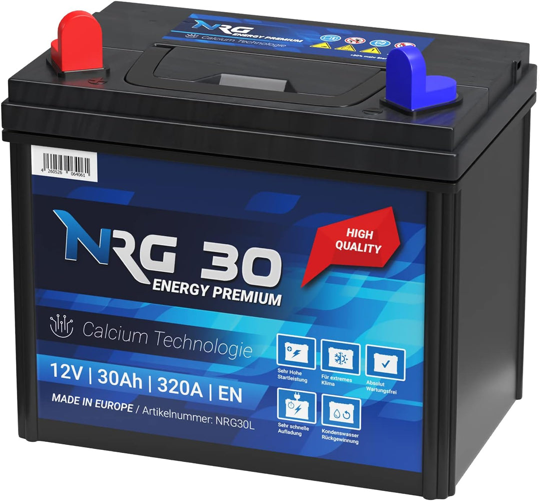 NRG Premium Batterie 30Ah 12V Rasentraktor Aufsitzmäher Plus Pol Links Fleurelle MTD Partner John De
