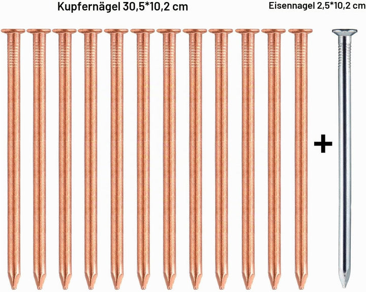 100 mm 12 Stück lange Kupfernägel zum Töten von Bäumen mit 1 Stück 4 Zoll Stahlnägel, Aufbewahrungsb