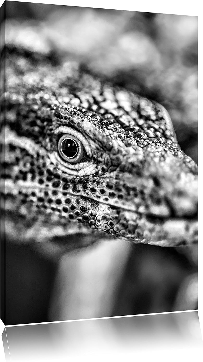 Pixxprint Monocrome, farbenfroher Waran, Format: 100x70 auf Leinwand, 100x70