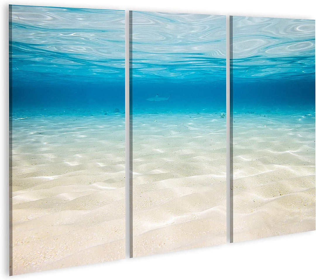 islandburner Bild auf Leinwand Unterwasserhintergrund Sandiger Meeresboden Bilder Wandbilder Poster,