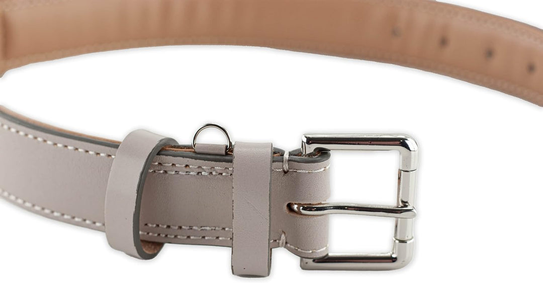 Brute Strength Hundehalsband aus Leder - Hellgrau - XXL - 66-73 cm XXL - 66-73 cm Hellgrau, XXL - 66