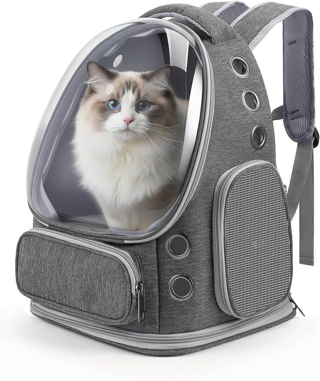 Katzenrucksack Bubble Transparent, Haustier Rucksack mit Netzfenster - Tragbarer & Faltbarer Hundetr
