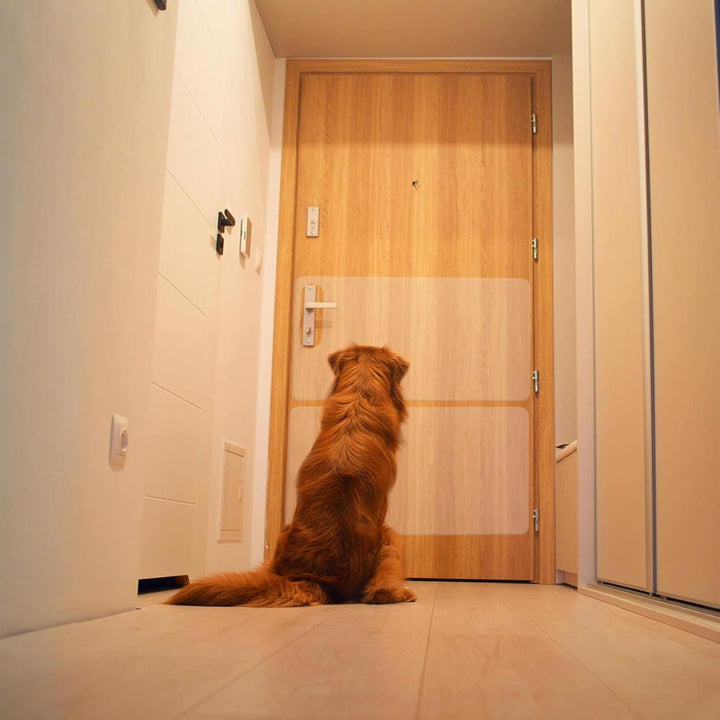 Kratzschutz für Türen, Kratzschutz für Hunde | Transparenter Türrahmenschutz, Selbstklebender Möbels