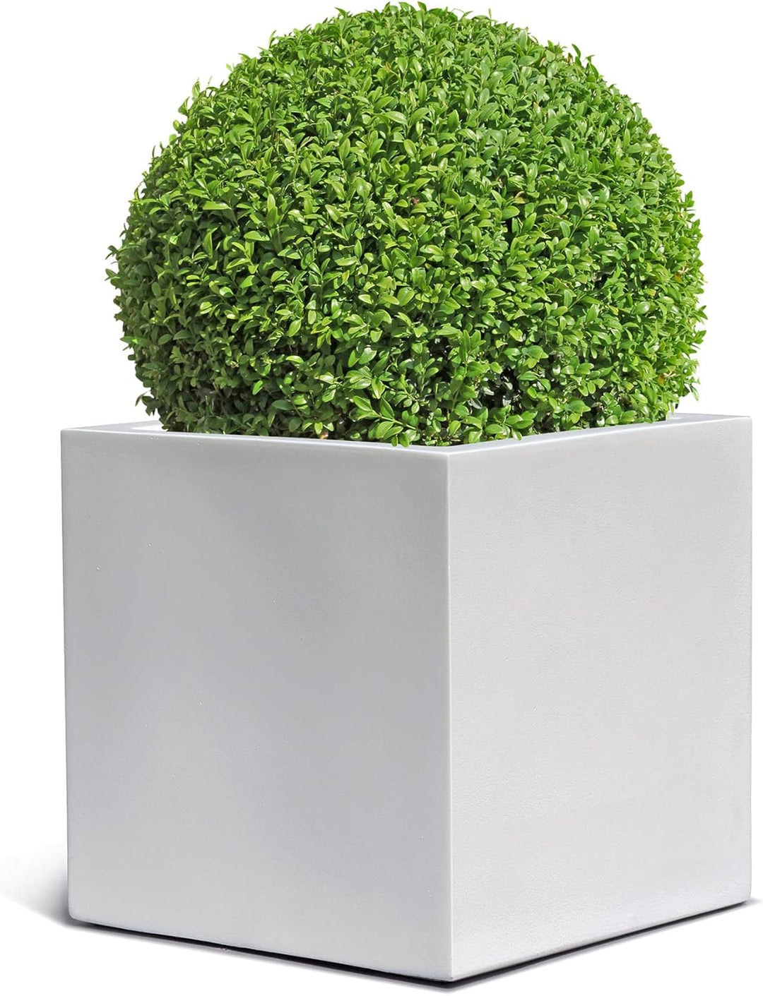 ESCHBACH® Pflanzkübel Cube 30 Weiss Quadratisch * 30 x 30 x 30 cm * 10 Jahre Garantie 30x30x30, 30x3