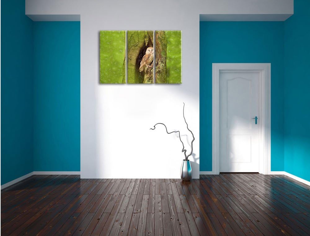 Pixxprint Schleiereule Baumhöhle als Leinwandbild/Grösse: 3 Teilig (120x80 cm) cm/Wandbild/Kunstdruc
