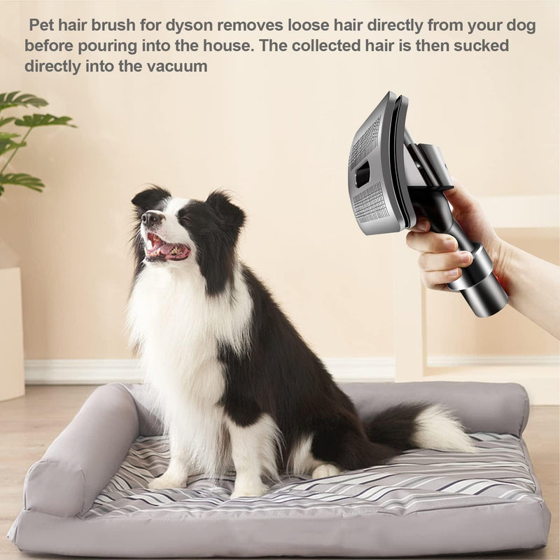 Hundebürste Staubsauger Aufsatz 3 Stück, Hundebürsten Tierhaarbürste für Dyson Pet Grooming Kit Vacu