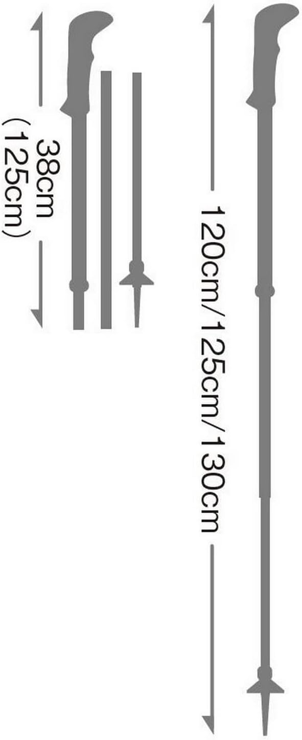 LEKI Sherpa FX.One Carbon (38)130 Schwarz, (38)130 Schwarz