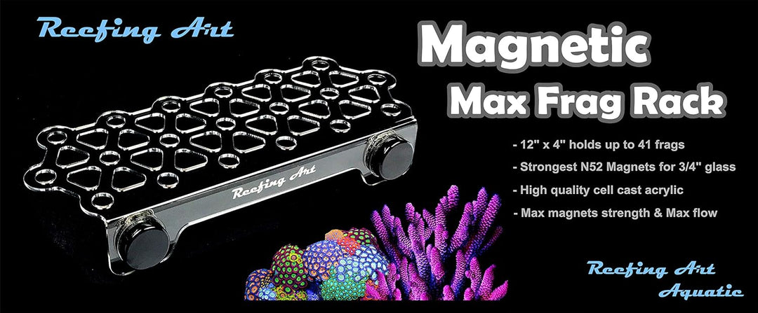 Reefing Art Magnetisches Korallen-Fragregal, Starke N52-Magnete (gross max.) Large Max, Large Max