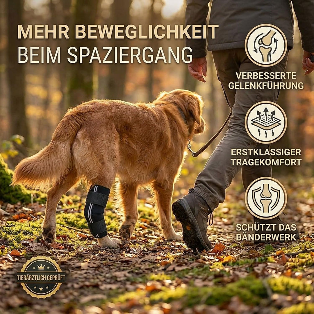 Nature Pet Sprunggelenk Schutz Bandage 165° Winkel für Hunde/Tarsalgelenk Bandage für Hunde (XS), XS