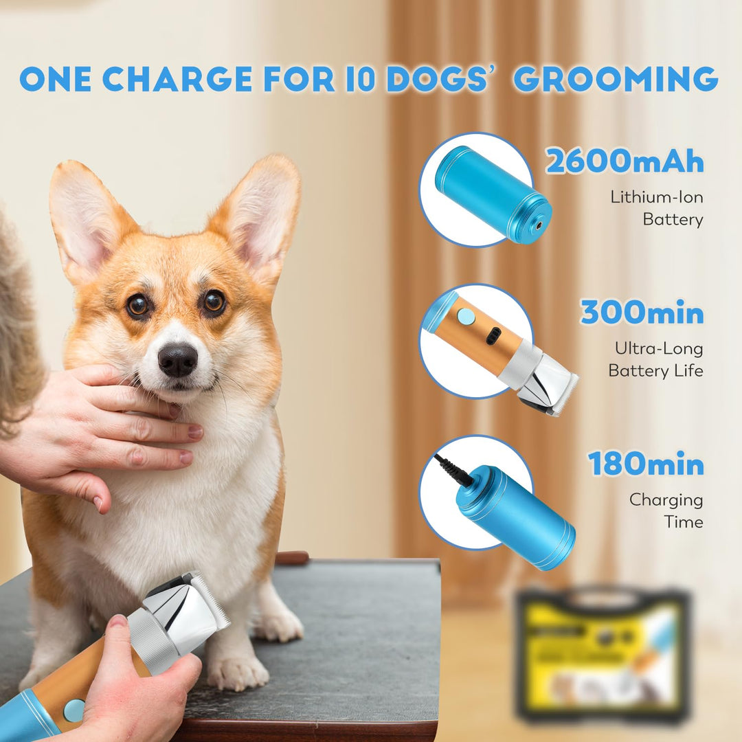 400W Profi Hundeschermaschine CGOLDENWALL Akku Tierhaarschneider 5h Standby Geräuscharm weniger als