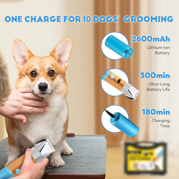 400W Profi Hundeschermaschine CGOLDENWALL Akku Tierhaarschneider 5h Standby Geräuscharm weniger als