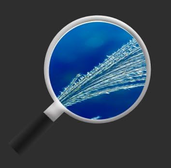 islandburner Bild Bilder auf Leinwand Blaue Blume Panorama XXL Poster Leinwandbild Wandbild Dekoarti