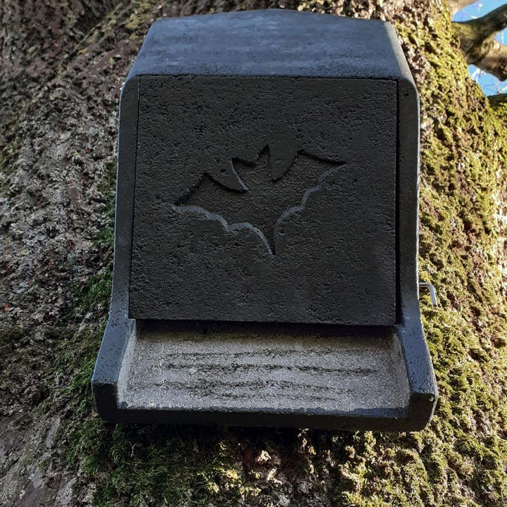 Fledermaus Grossraumkasten für Kleinfledermäuse aus Holzbeton | Fledermausquartier | Fledermauswoche