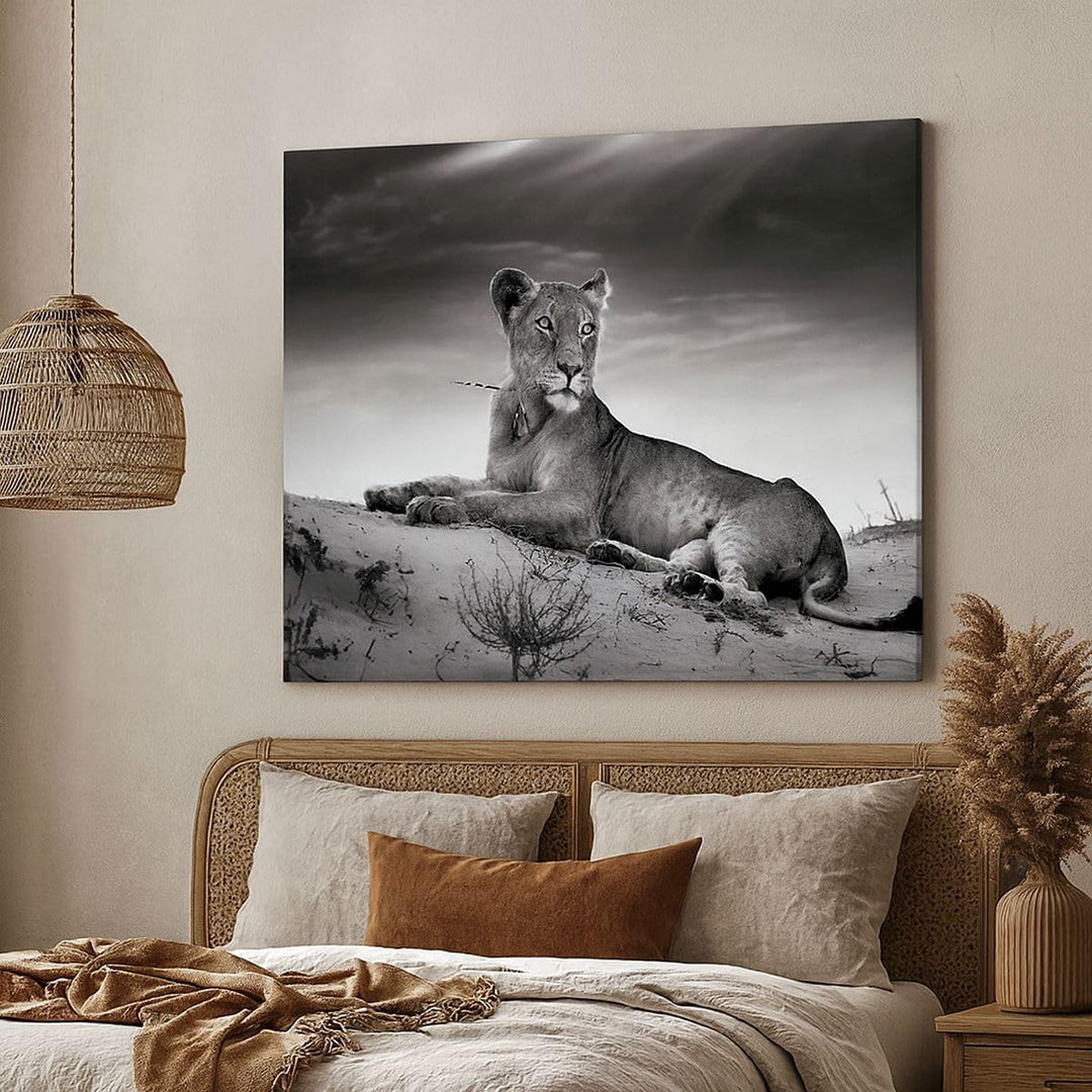 Bilder auf Leinwand Tierwelt weiblich katze Tier Leinwandbild 70x50cm Wandbilder Dekoration Wohnzimm