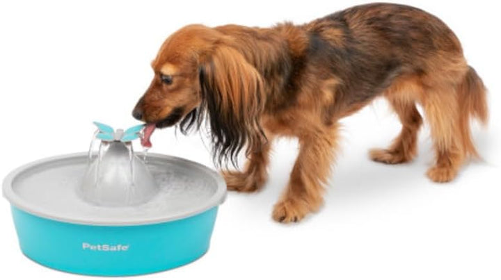 PetSafe Drinkwell Butterfly Trinkbrunnen für Katzen und kleine Hunde, BPA-freier Kunststoff, 1,5 Lit